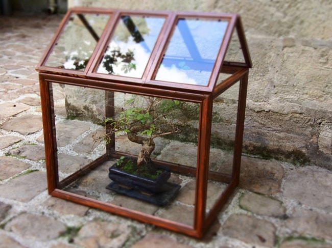 mini serre