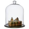 Cloche de verre avec plateau bois BELLA