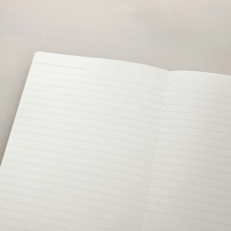 Set petits carnets SEEDS