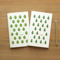 Set grands carnets SEEDS