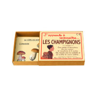 J'apprends à reconnaitre les champignons
