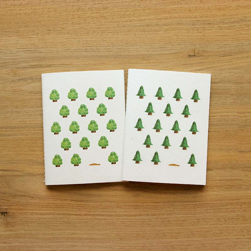 Set petits carnets SEEDS