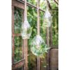 Terrarium à suspendre BUBBLE 3 Terrarium à suspendre BUBBLE