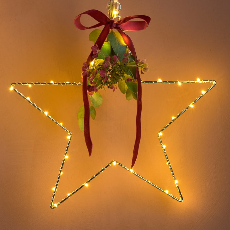 Etoile suspension Liva Star composition 2 La Fée Caséine