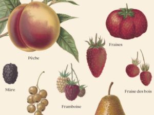 Les Fruits du Verger
