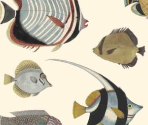 Les Poissons exotiques