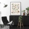 affiche botanique fleurs