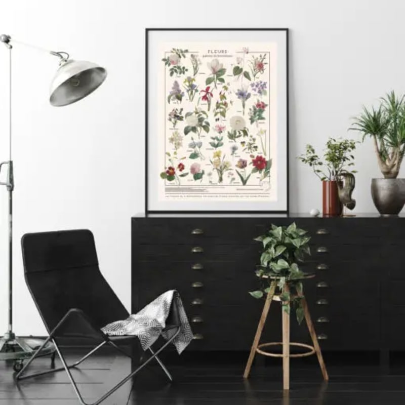 affiche botanique fleurs