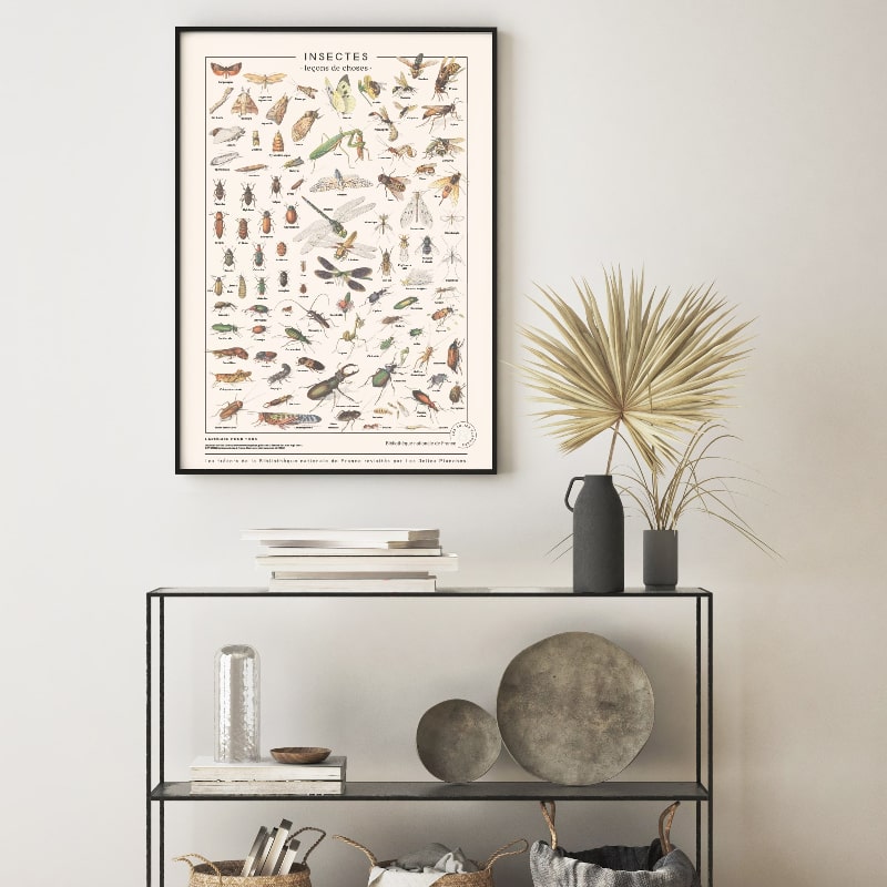 affiche les insectes
