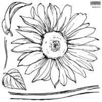 tampon sunflowers Iron Orchyd Design