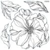 tampon-decoratif-pivoines-peonies-iod-min