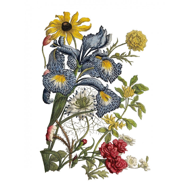 transfert-decoratif-fleurs-anciennes-henry-fletcher-iod-min