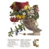 transfert-decoratif-vintage-botanique-henry-fletcher-iod-min