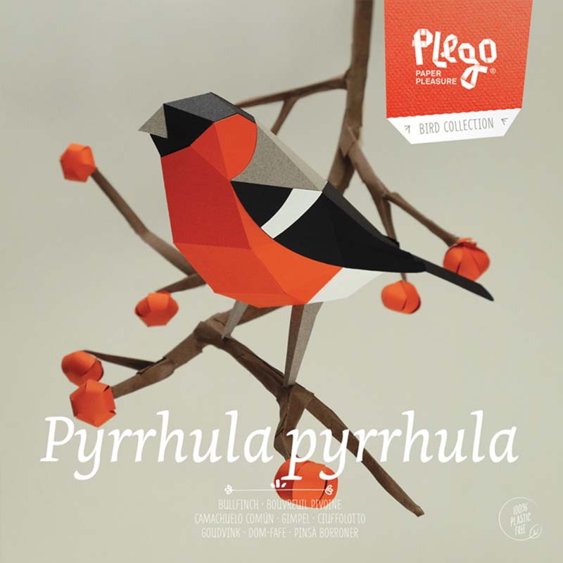 kit bouvreuil en papier plie