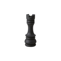 tour echec noire
